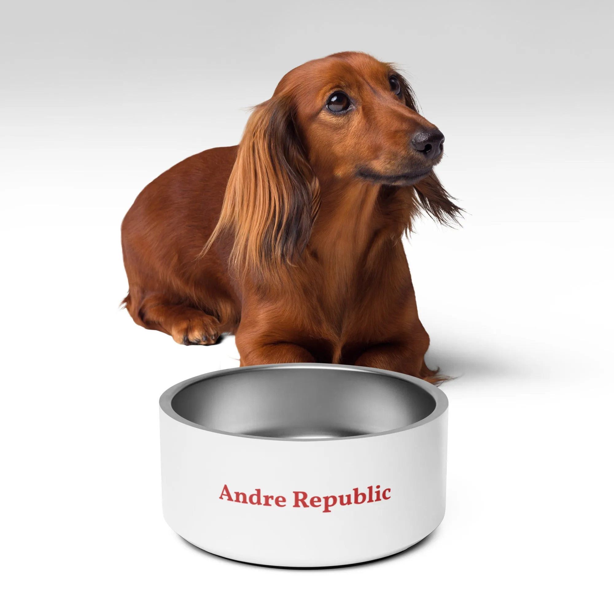 Andre Republic Pet bowl