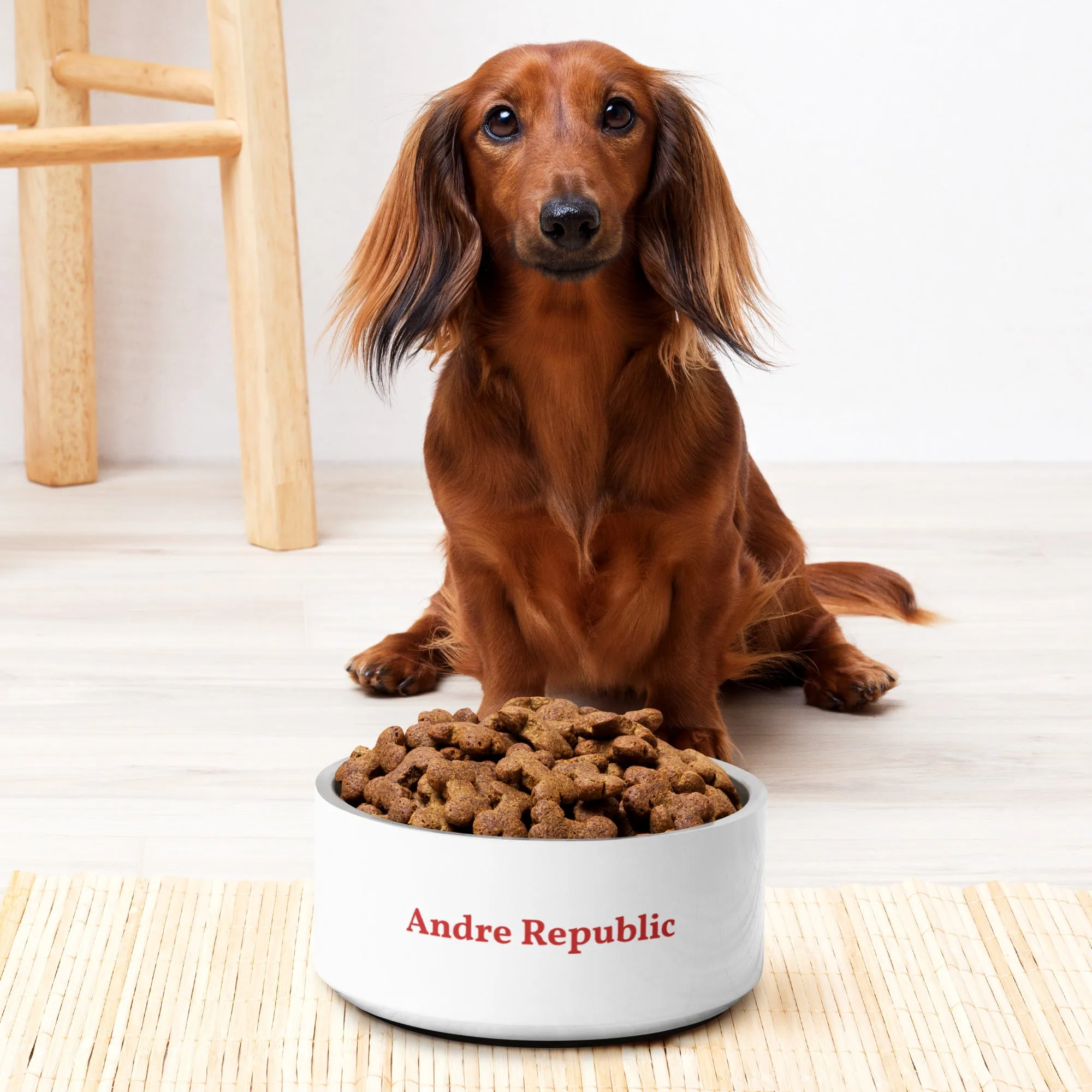 Andre Republic Pet bowl