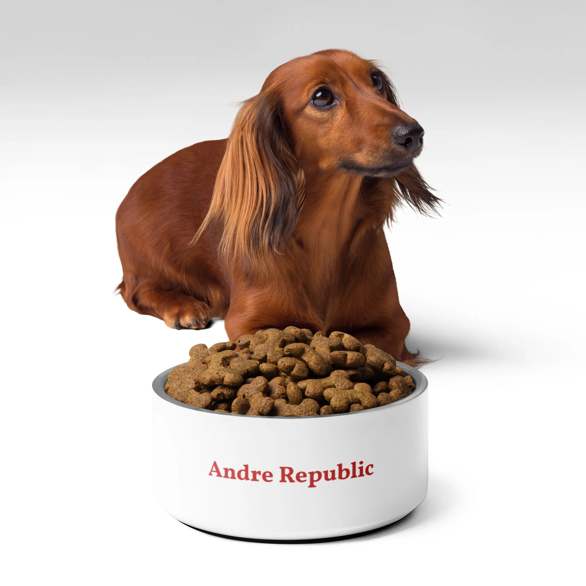 Andre Republic Pet bowl