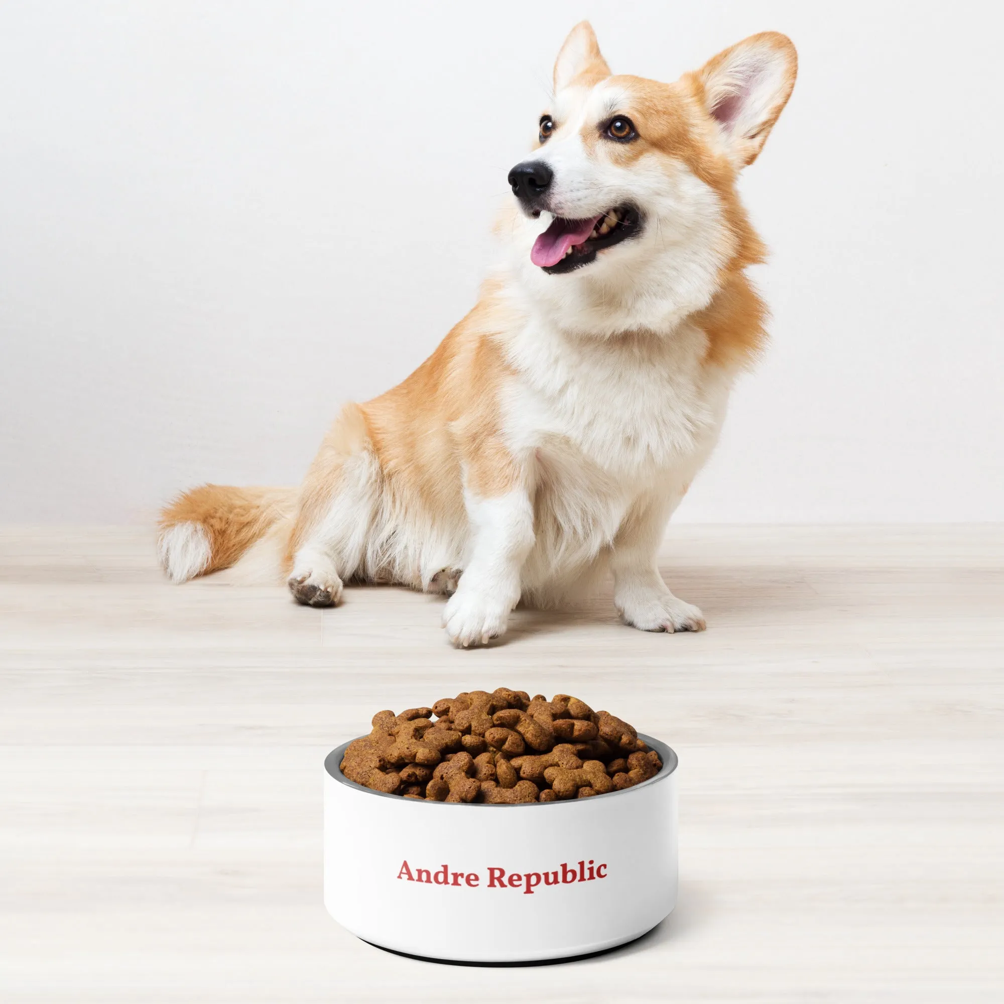 Andre Republic Pet bowl