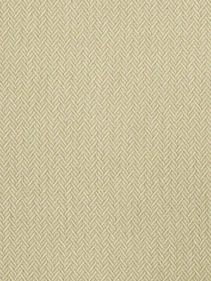 Focus - Linen