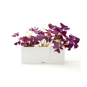 Modular Smart Pot (3 in 1)
