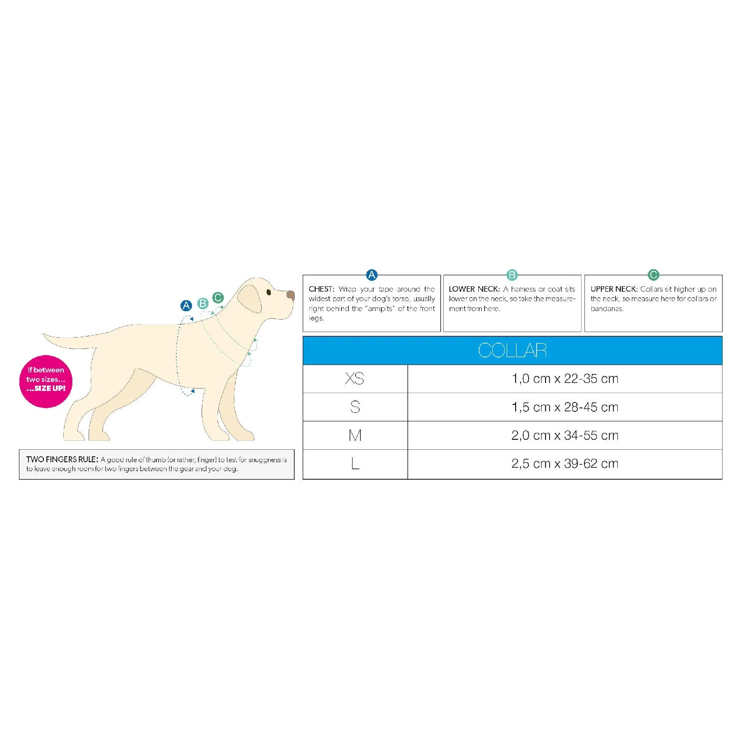 Smart ID Dog Collar - Monkey Maniac