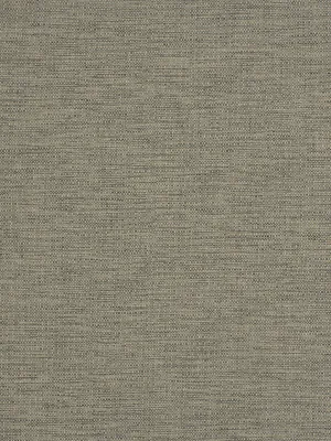 Zuma - Pebble