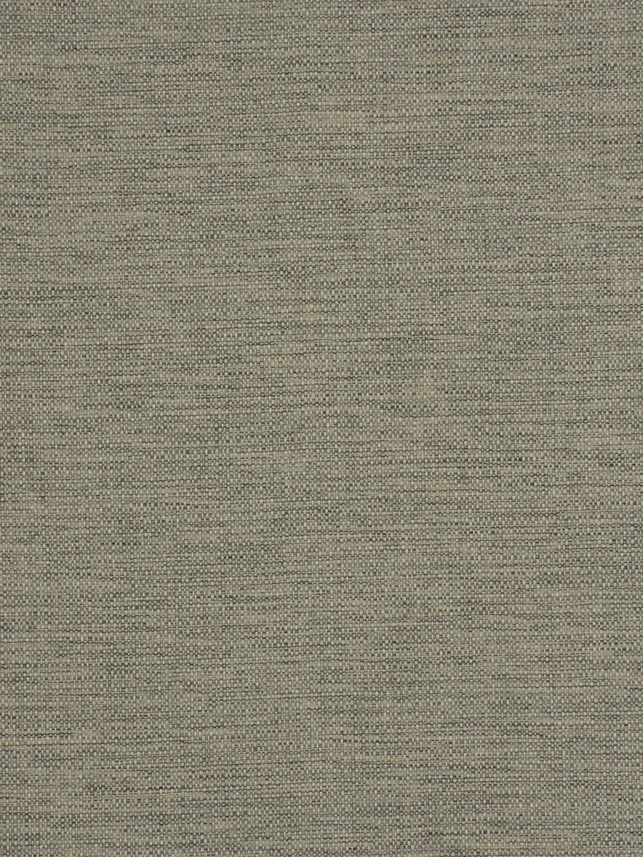 Zuma - Pebble